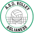 logo Volley Aglianese