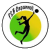 logo PSB Capannoli Young