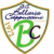 logo Bellaria Cappuccini Volley U16 Verde