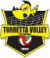 logo Torretta Volley Livorno - Gialla