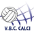 logo Volley Aglianese